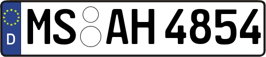 MS-AH4854