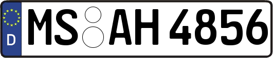 MS-AH4856