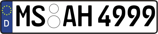 MS-AH4999