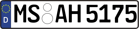 MS-AH5175