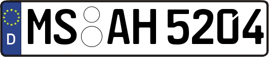 MS-AH5204