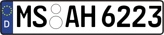 MS-AH6223