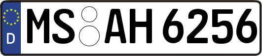 MS-AH6256