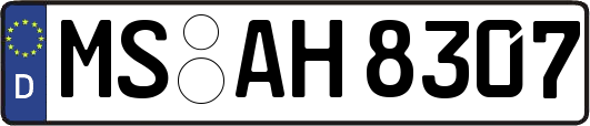 MS-AH8307