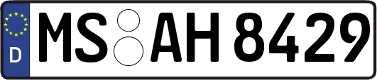 MS-AH8429