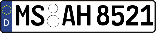 MS-AH8521