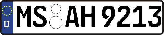 MS-AH9213