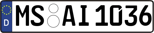MS-AI1036