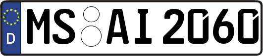 MS-AI2060
