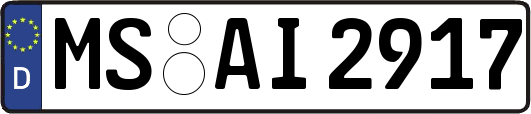 MS-AI2917