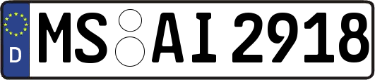 MS-AI2918