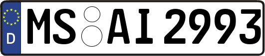 MS-AI2993