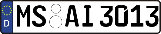 MS-AI3013