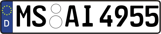 MS-AI4955