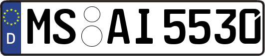MS-AI5530