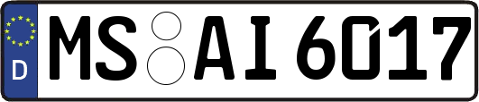 MS-AI6017
