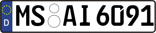MS-AI6091