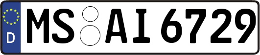 MS-AI6729