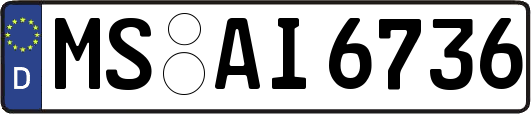 MS-AI6736