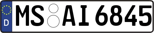 MS-AI6845