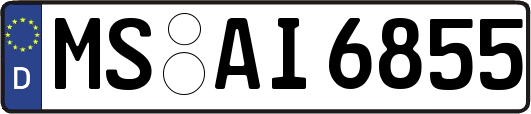 MS-AI6855