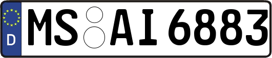MS-AI6883