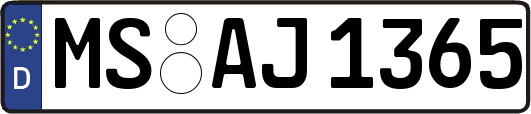 MS-AJ1365
