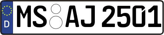 MS-AJ2501