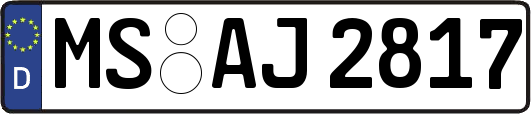 MS-AJ2817