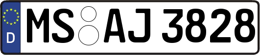 MS-AJ3828