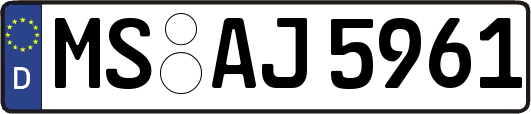 MS-AJ5961