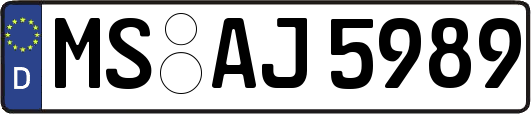 MS-AJ5989