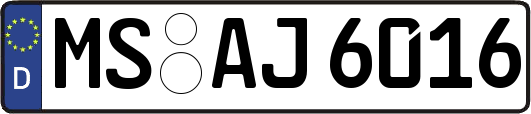 MS-AJ6016