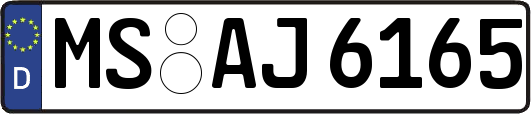 MS-AJ6165