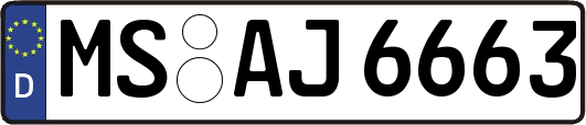 MS-AJ6663