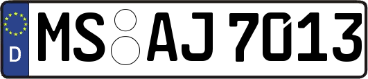 MS-AJ7013