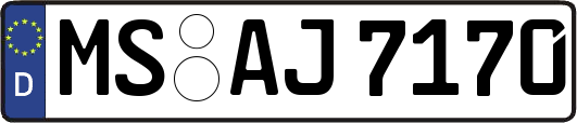 MS-AJ7170