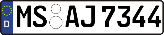 MS-AJ7344