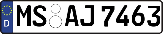 MS-AJ7463
