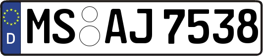 MS-AJ7538
