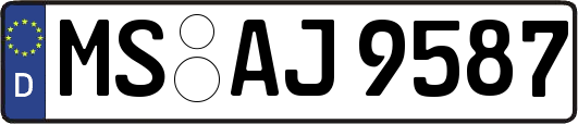 MS-AJ9587