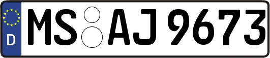 MS-AJ9673