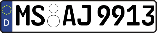 MS-AJ9913