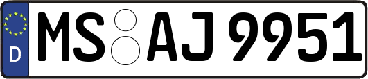 MS-AJ9951