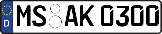 MS-AK0300