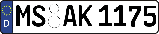 MS-AK1175