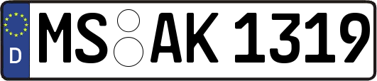 MS-AK1319