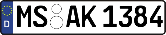 MS-AK1384