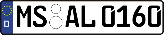 MS-AL0160