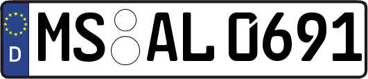 MS-AL0691